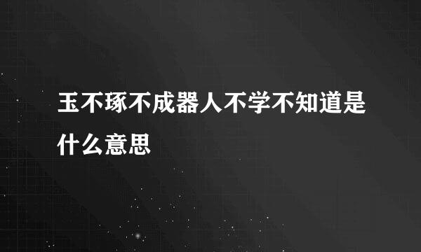 玉不琢不成器人不学不知道是什么意思