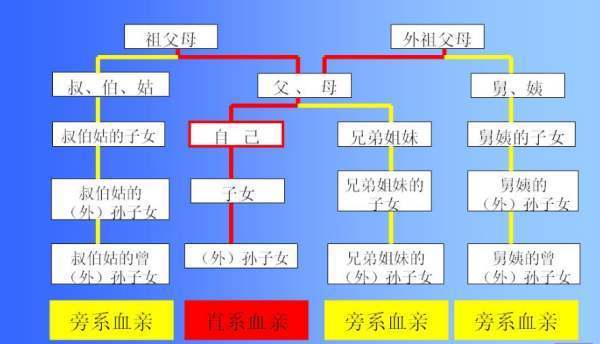 旁系血亲是来自什么意思