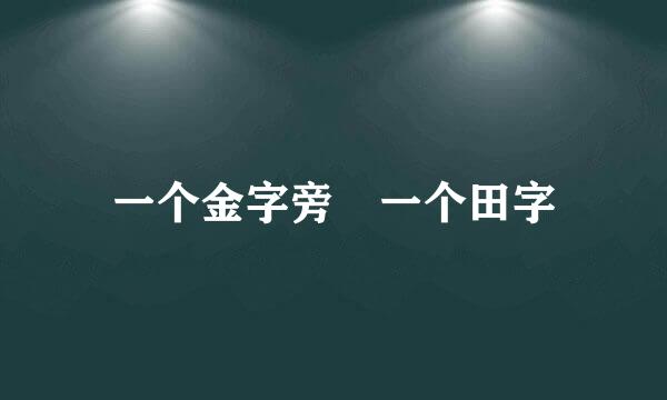 一个金字旁 一个田字