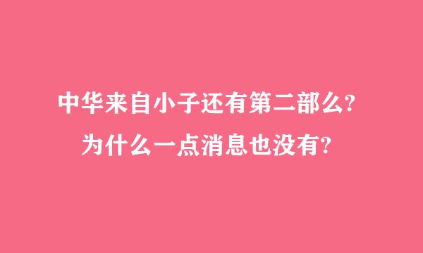 中华来自小子还有第二部么? 为什么一点消息也没有?