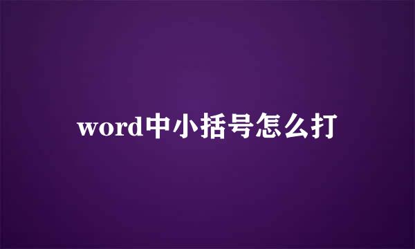 word中小括号怎么打