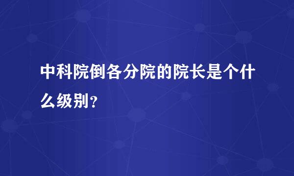 中科院倒各分院的院长是个什么级别？