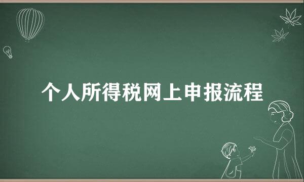 个人所得税网上申报流程