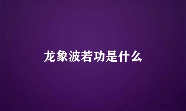 龙象波若功是什么