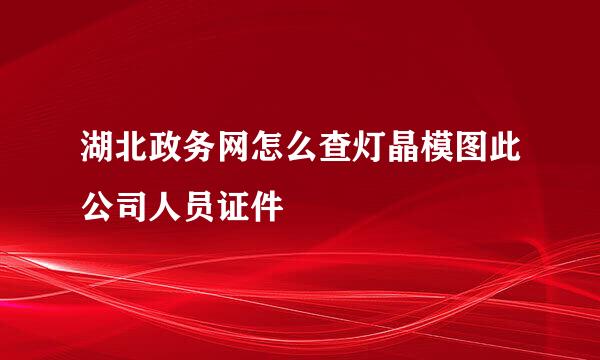 湖北政务网怎么查灯晶模图此公司人员证件