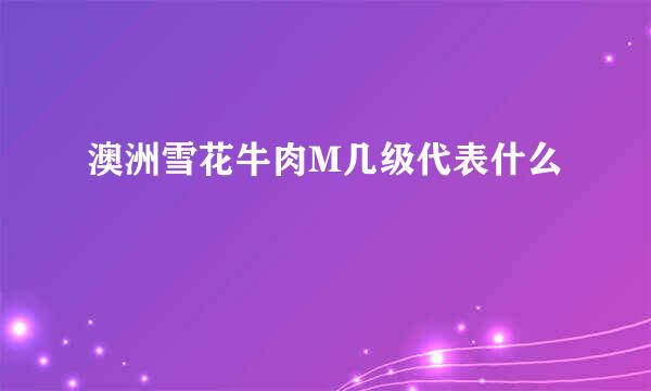 澳洲雪花牛肉M几级代表什么