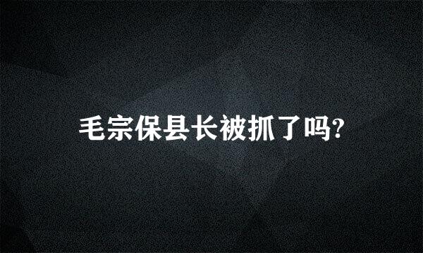 毛宗保县长被抓了吗?