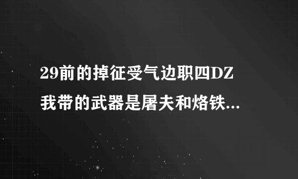 29前的掉征受气边职四DZ 我带的武器是屠夫和烙铁棍 该F什么