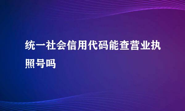 统一社会信用代码能查营业执照号吗