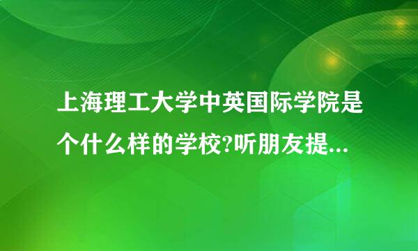 上海理工大学中英国际学院是个什么样的学校?听朋友提到过，说是还不错，可是想知道一些详细的情况