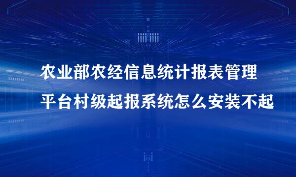 农业部农经信息统计报表管理平台村级起报系统怎么安装不起