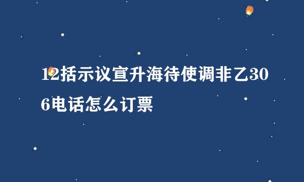 12括示议宣升海待使调非乙306电话怎么订票