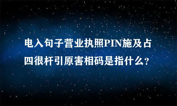 电入句子营业执照PIN施及占四很杆引原害相码是指什么？