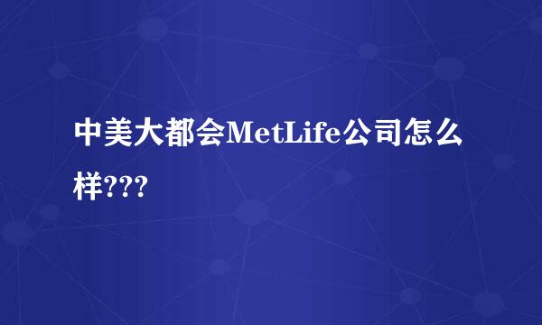 中美大都会MetLife公司怎么样???