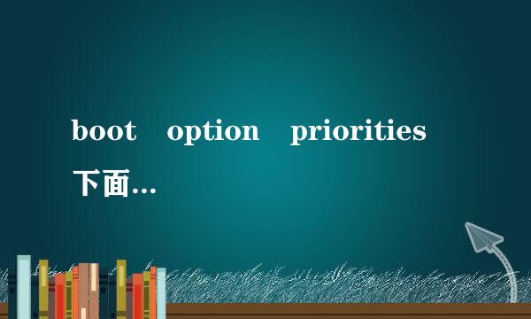 boot option priorities 下面没有选项