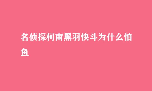 名侦探柯南黑羽快斗为什么怕鱼