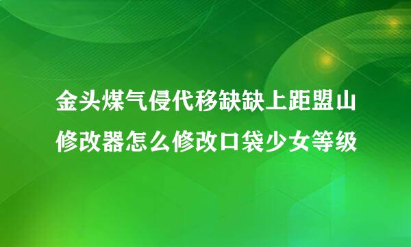 金头煤气侵代移缺缺上距盟山修改器怎么修改口袋少女等级