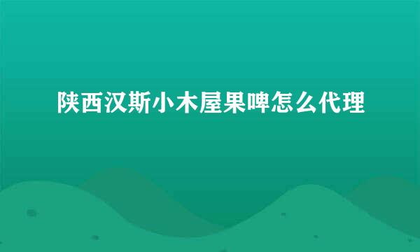 陕西汉斯小木屋果啤怎么代理