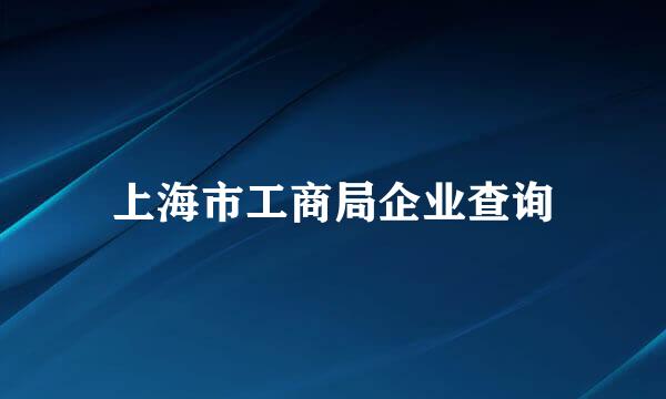 上海市工商局企业查询