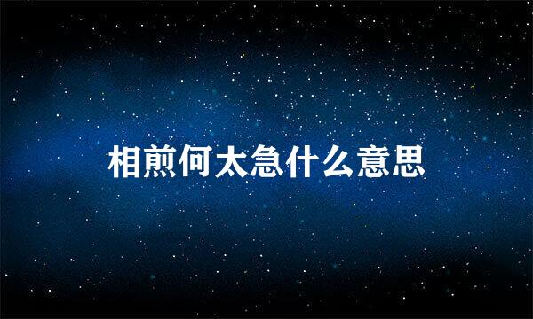 相煎何太急什么意思