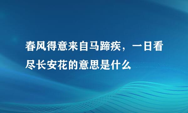 春风得意来自马蹄疾，一日看尽长安花的意思是什么