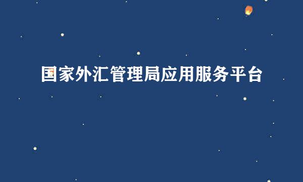 国家外汇管理局应用服务平台