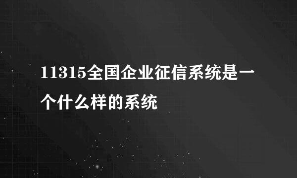 11315全国企业征信系统是一个什么样的系统