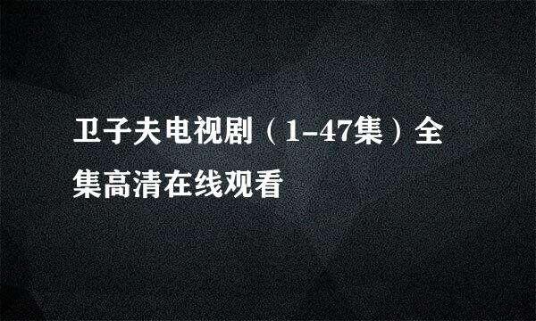 卫子夫电视剧（1-47集）全集高清在线观看