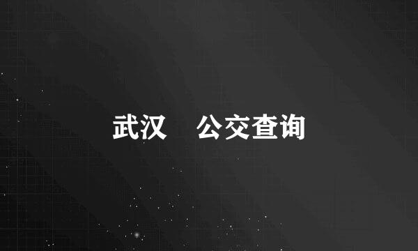 武汉 公交查询