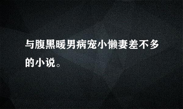 与腹黑暖男病宠小懒妻差不多的小说。