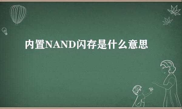 内置NAND闪存是什么意思