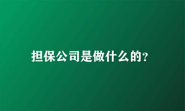 担保公司是做什么的？