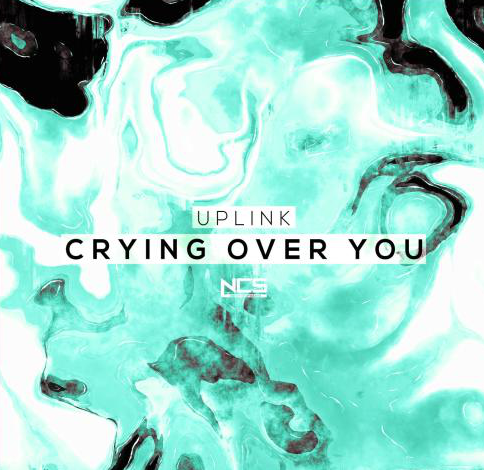 您好请帮史助 翻译后面这一首歌的歌词Crying Over You。