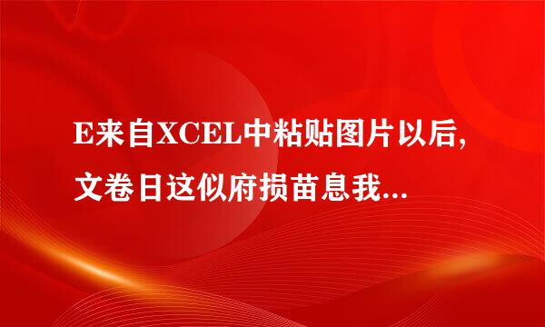 E来自XCEL中粘贴图片以后,文卷日这似府损苗息我件内存太大,怎么缩小啊。