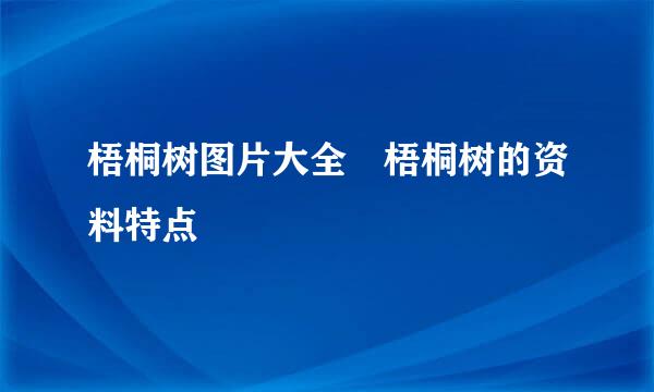 梧桐树图片大全 梧桐树的资料特点