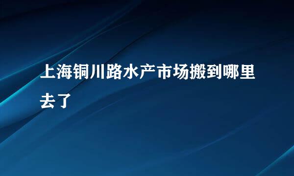 上海铜川路水产市场搬到哪里去了