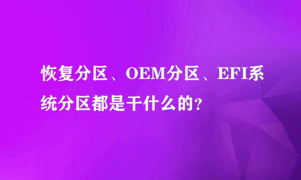 恢复分区、OEM分区、EFI系统分区都是干什么的？