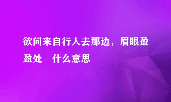 欲问来自行人去那边，眉眼盈盈处 什么意思