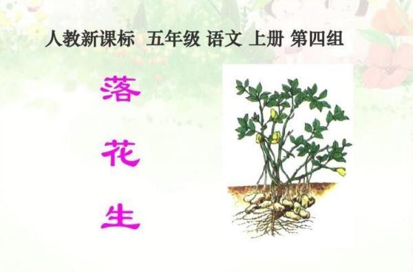 落花生 播苏假参口种 读音说理由