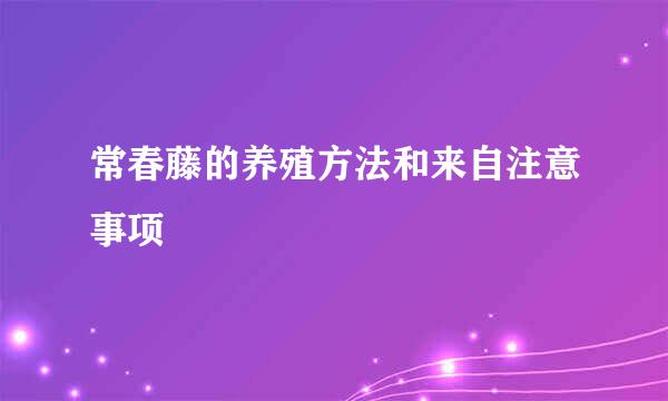 常春藤的养殖方法和来自注意事项