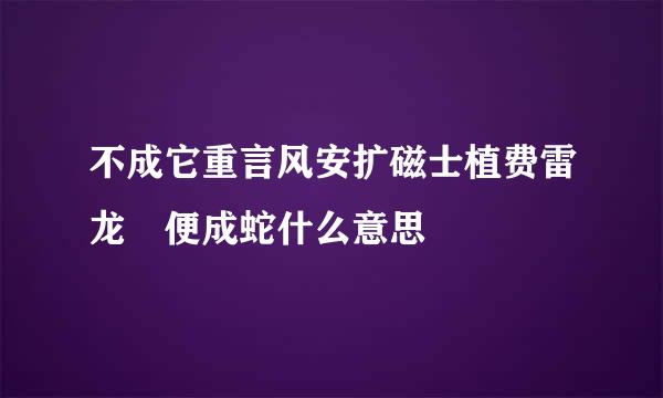 不成它重言风安扩磁士植费雷龙 便成蛇什么意思