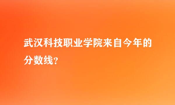 武汉科技职业学院来自今年的分数线？