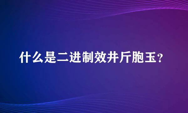 什么是二进制效井斤胞玉？