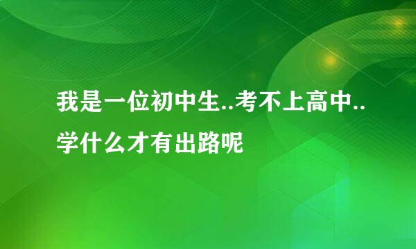 我是一位初中生..考不上高中..学什么才有出路呢