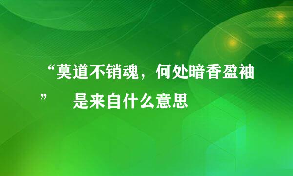 “莫道不销魂，何处暗香盈袖” 是来自什么意思