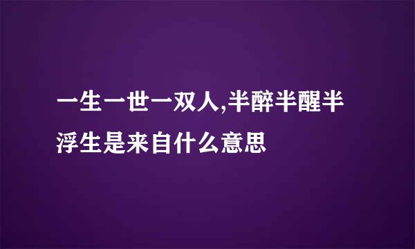 一生一世一双人,半醉半醒半浮生是来自什么意思