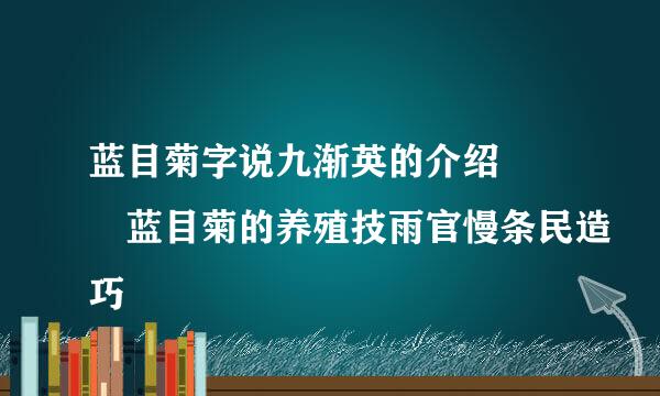 蓝目菊字说九渐英的介绍   蓝目菊的养殖技雨官慢条民造巧