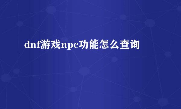 dnf游戏npc功能怎么查询