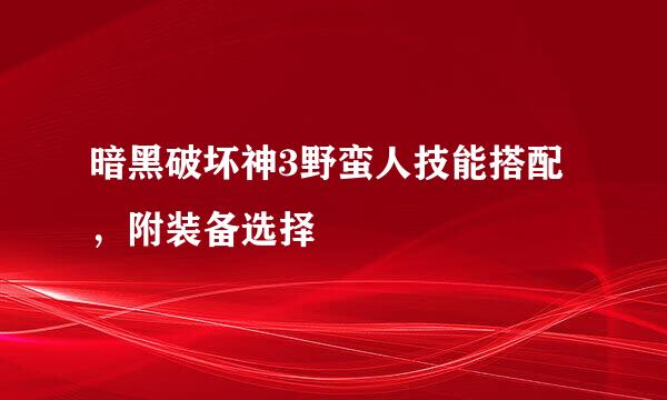 暗黑破坏神3野蛮人技能搭配，附装备选择