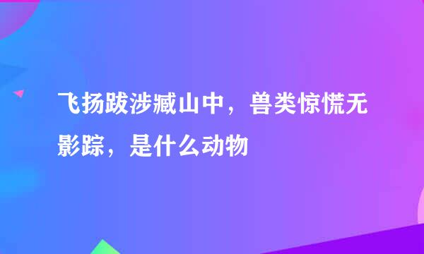 飞扬跋涉臧山中，兽类惊慌无影踪，是什么动物